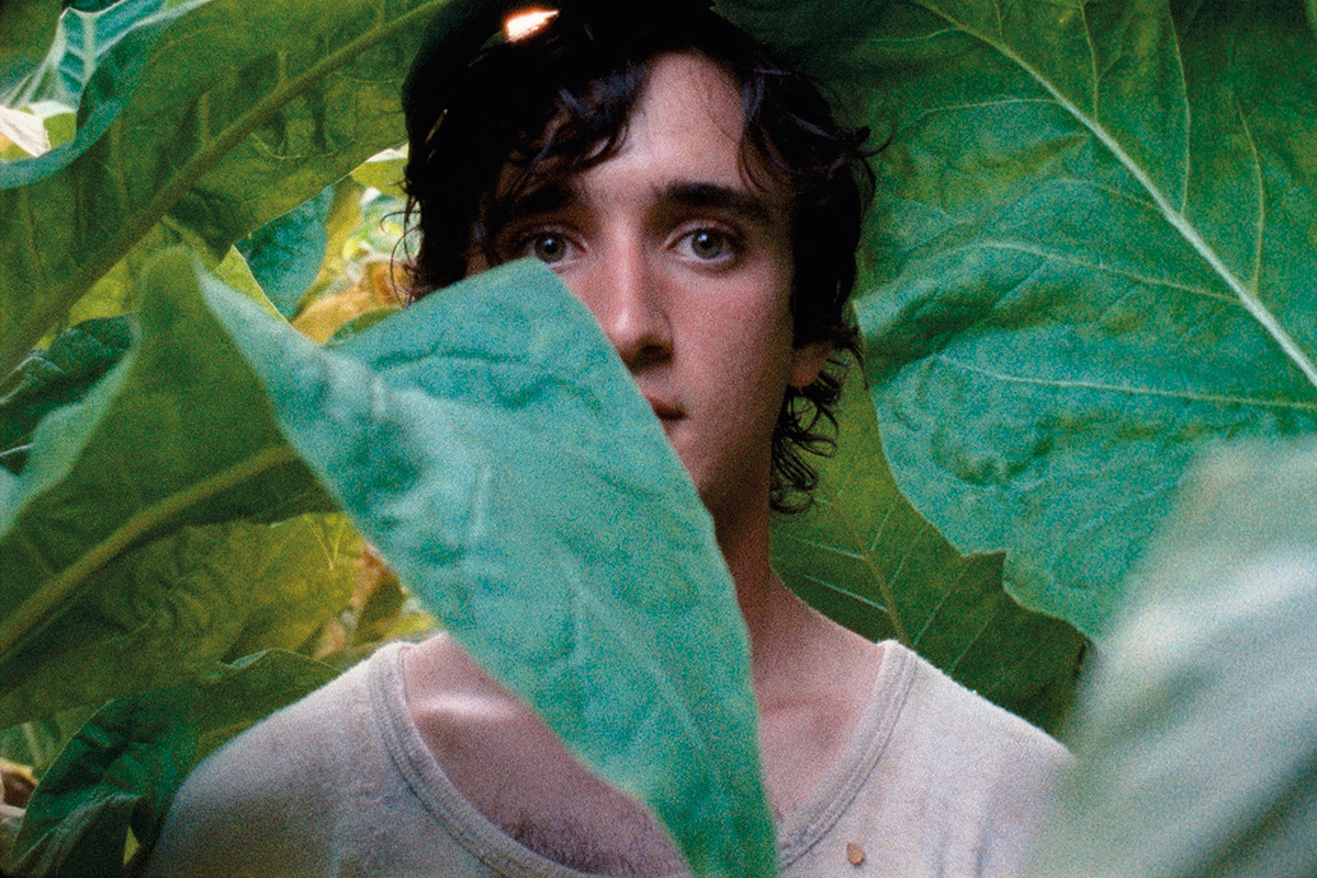 lazzaro