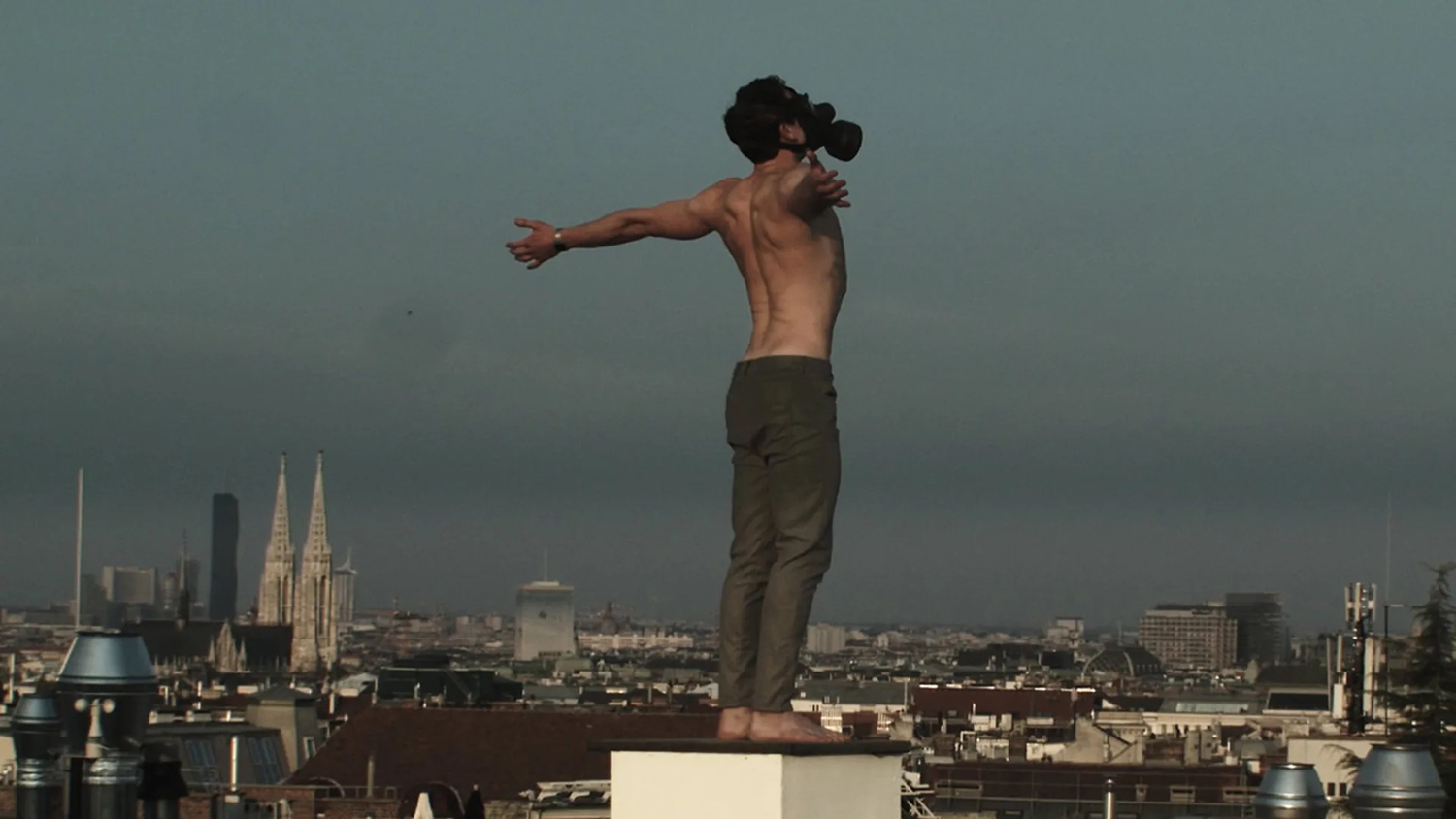 die-farbe-des-chamaeleons