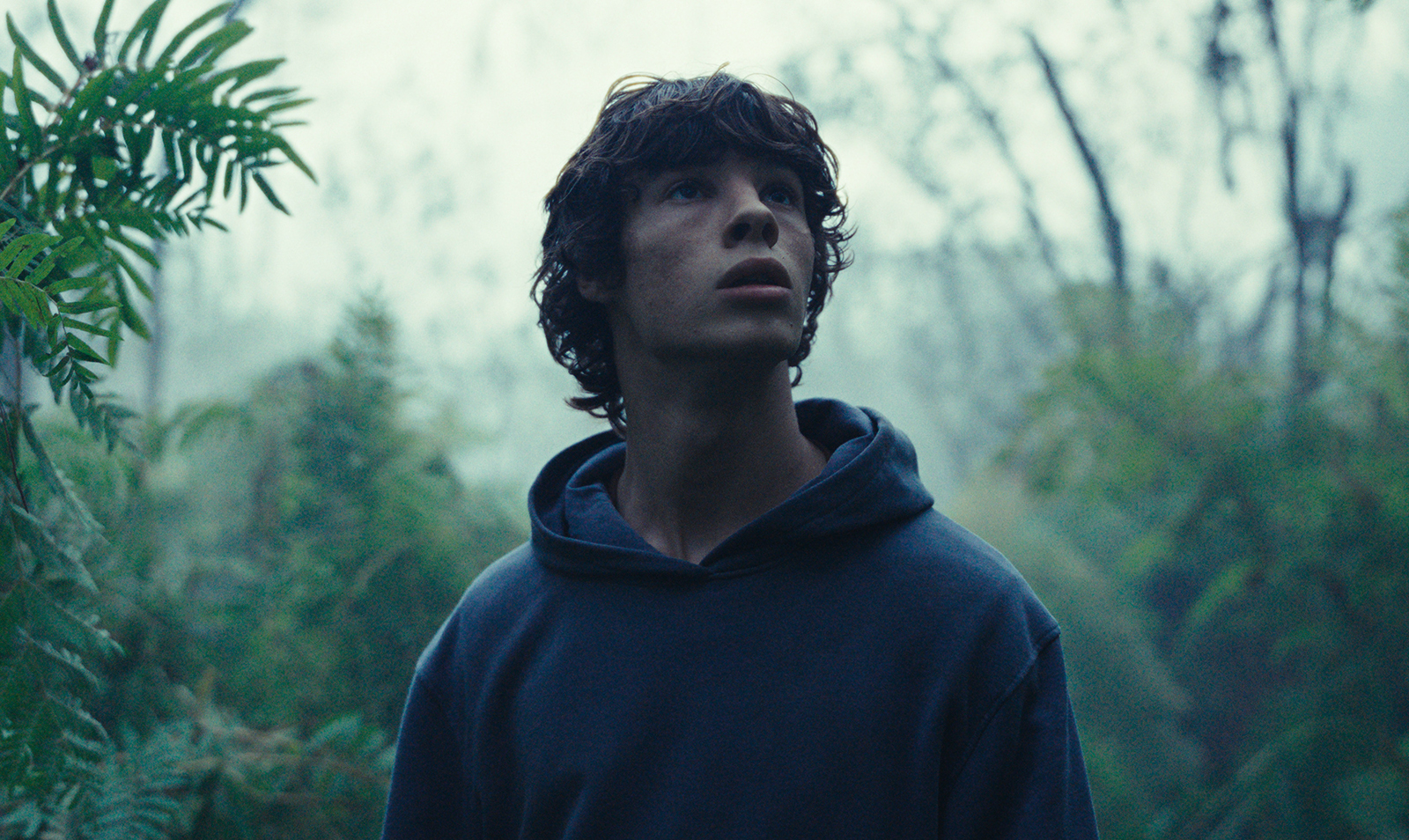 The Animal Kingdom (2023) FILMGENUSS